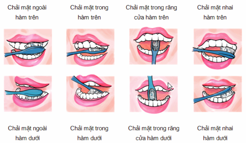 Nhấn vào ảnh để phóng to