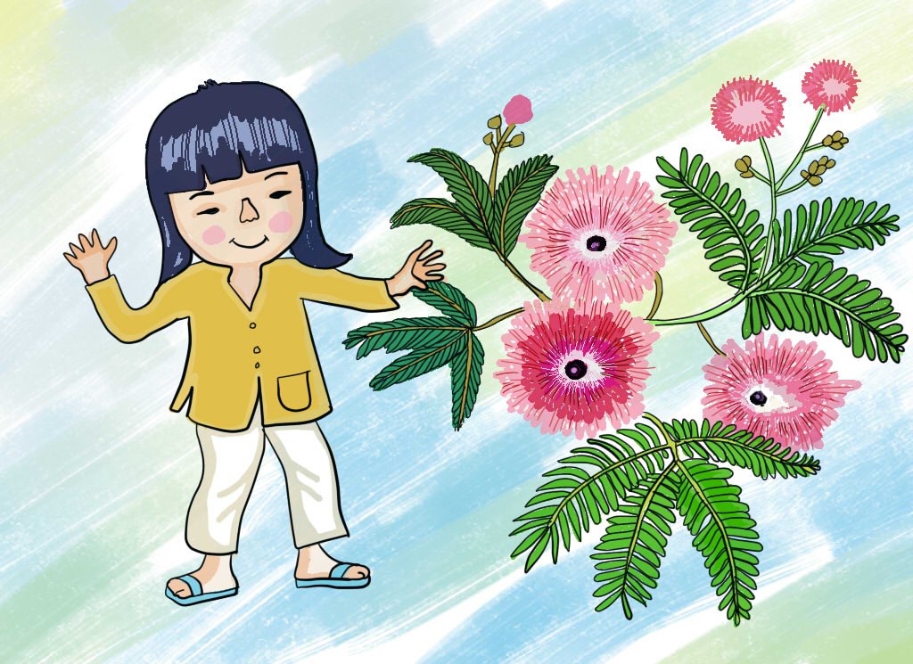 Nhấn vào ảnh để phóng to