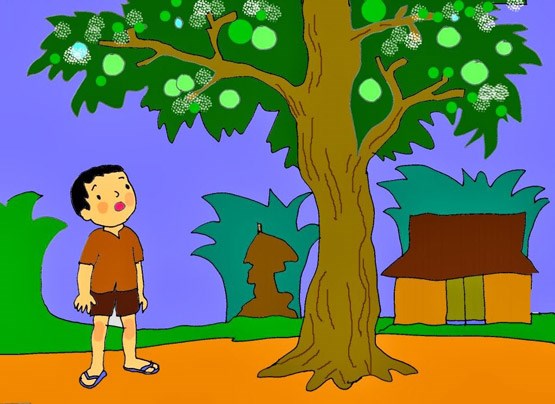 Nhấn vào ảnh để phóng to